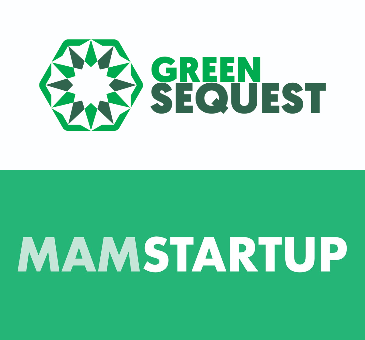 Interview with Adrian Podgórny, COO of Green Sequest on MamStartup