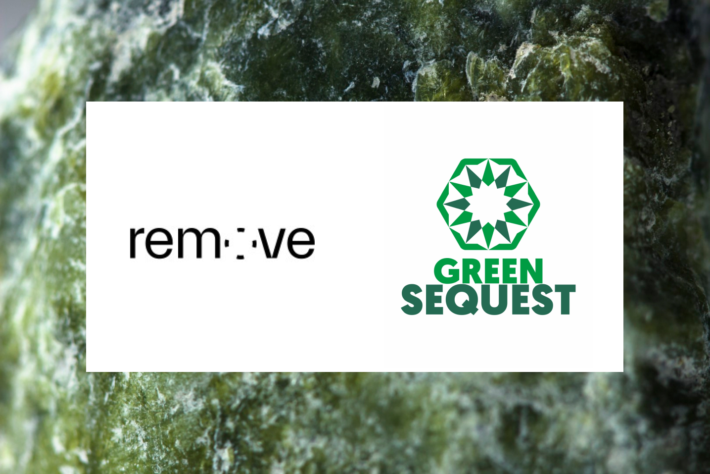 Green Sequest completed remove, first European accelerator program focused solely on CDR
